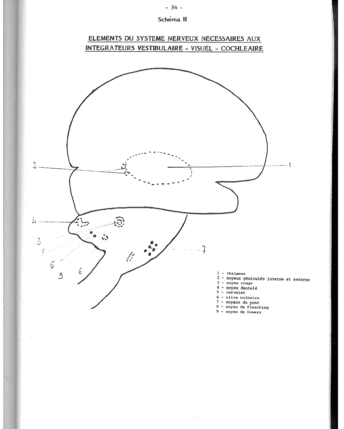 Schema VI — Vollständiger cochleärer Integrator